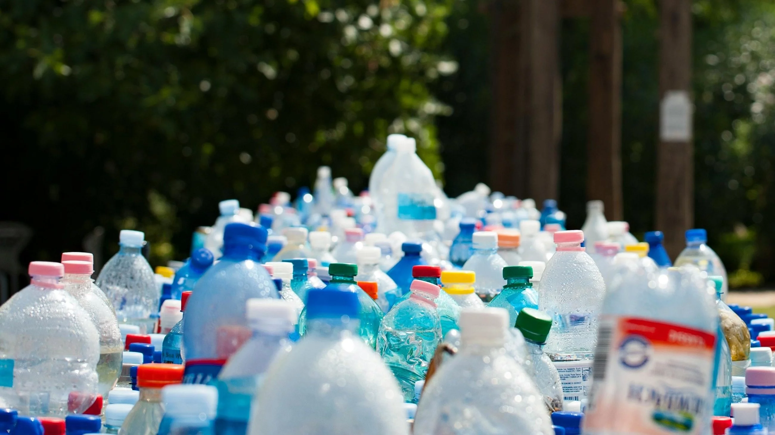 Jak manipulują nami ekolodzy. „Plastik może być lepszy niż papier”