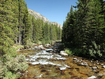 Park narodowy w Montanie
