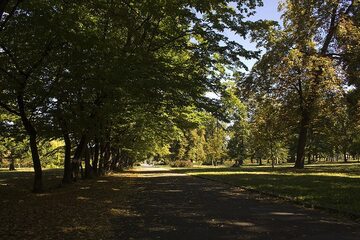 Park Skowroni we Wrocławiu