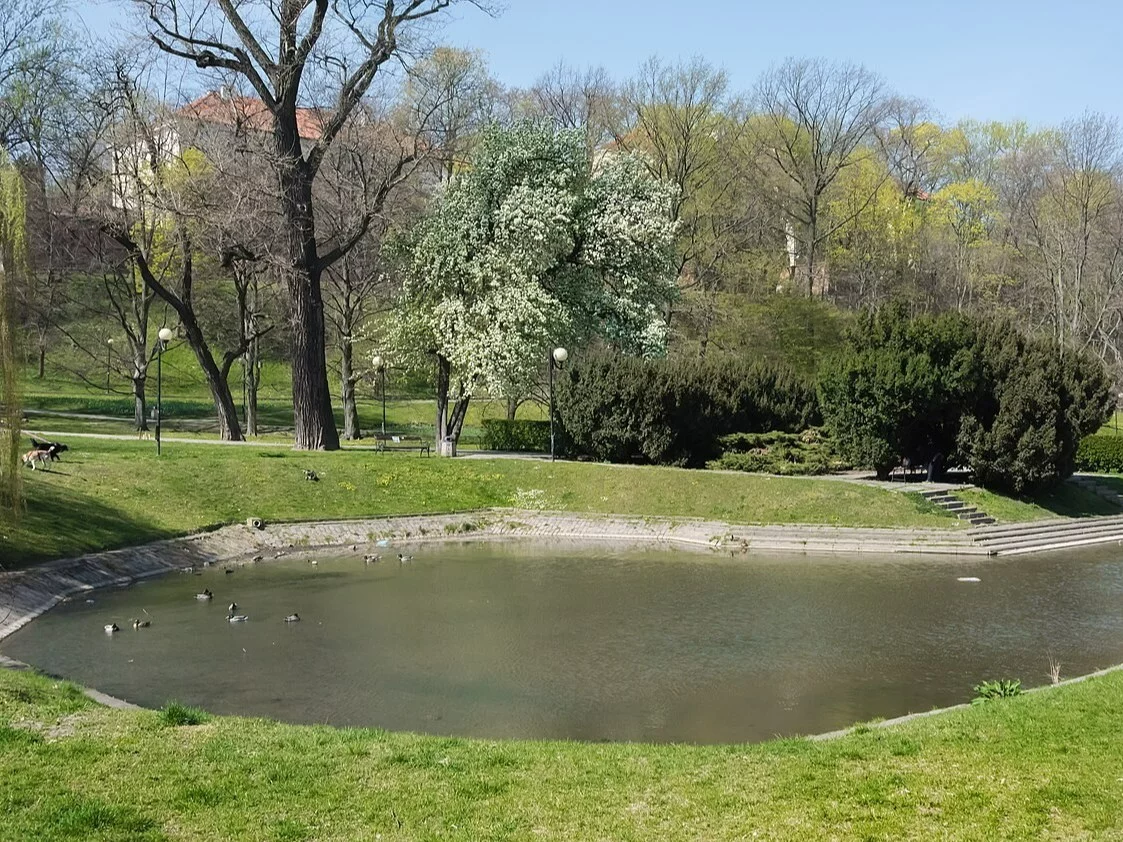 Park Kazimierzowski