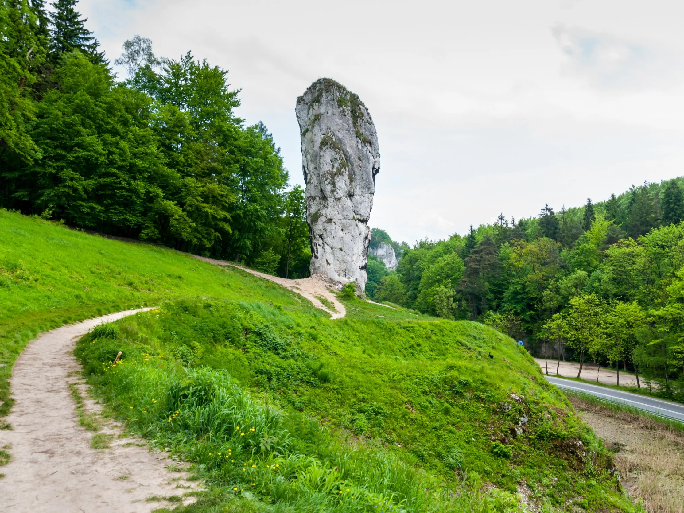 Quiz o parkach narodowych w Polsce