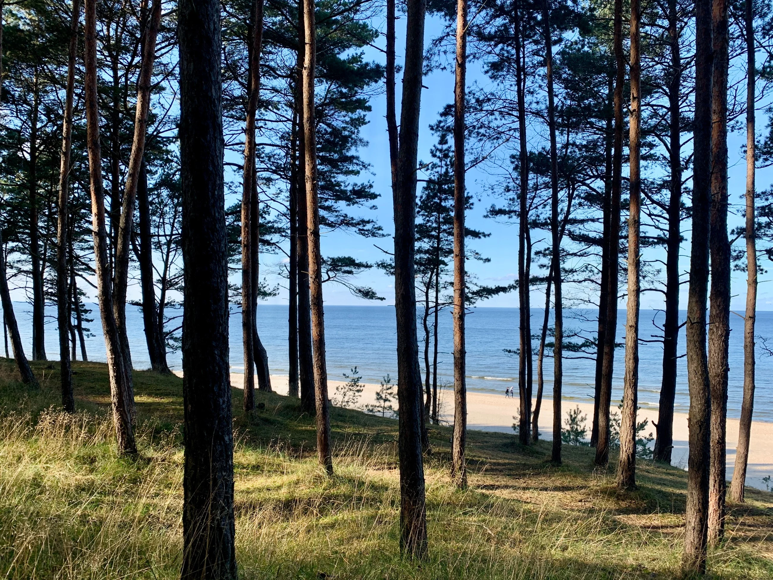 Wracają opłaty nad Bałtykiem. choćby 35 złotych od osoby