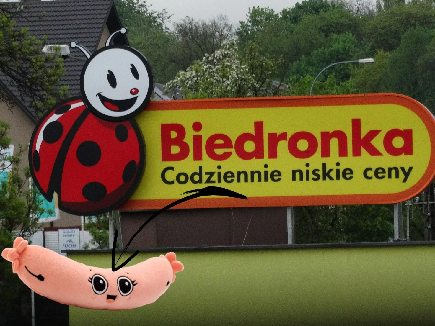 Biedronka