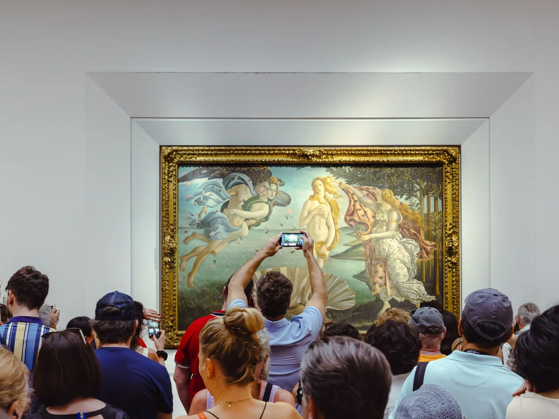 Galeria obrazów