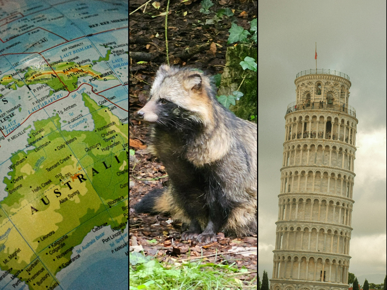 Quiz z wiedzy ogólnej