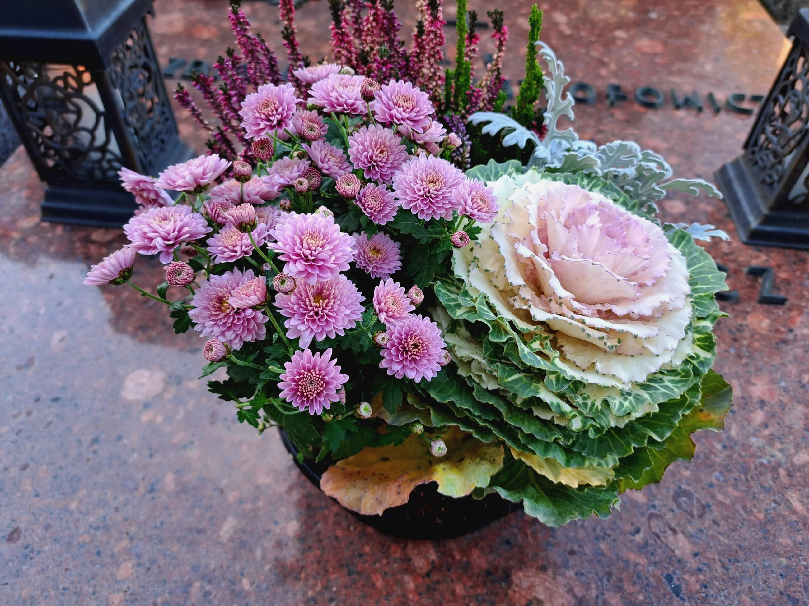 Oryginalna kompozycja z żywych roślin: wrzosy, kapustka i chryzantemy