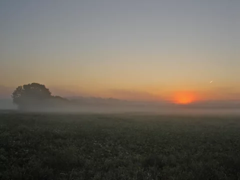 Pierwsze jesienne przymrozki. Sprawdź, gdzie! (fot. sxc.hu)
