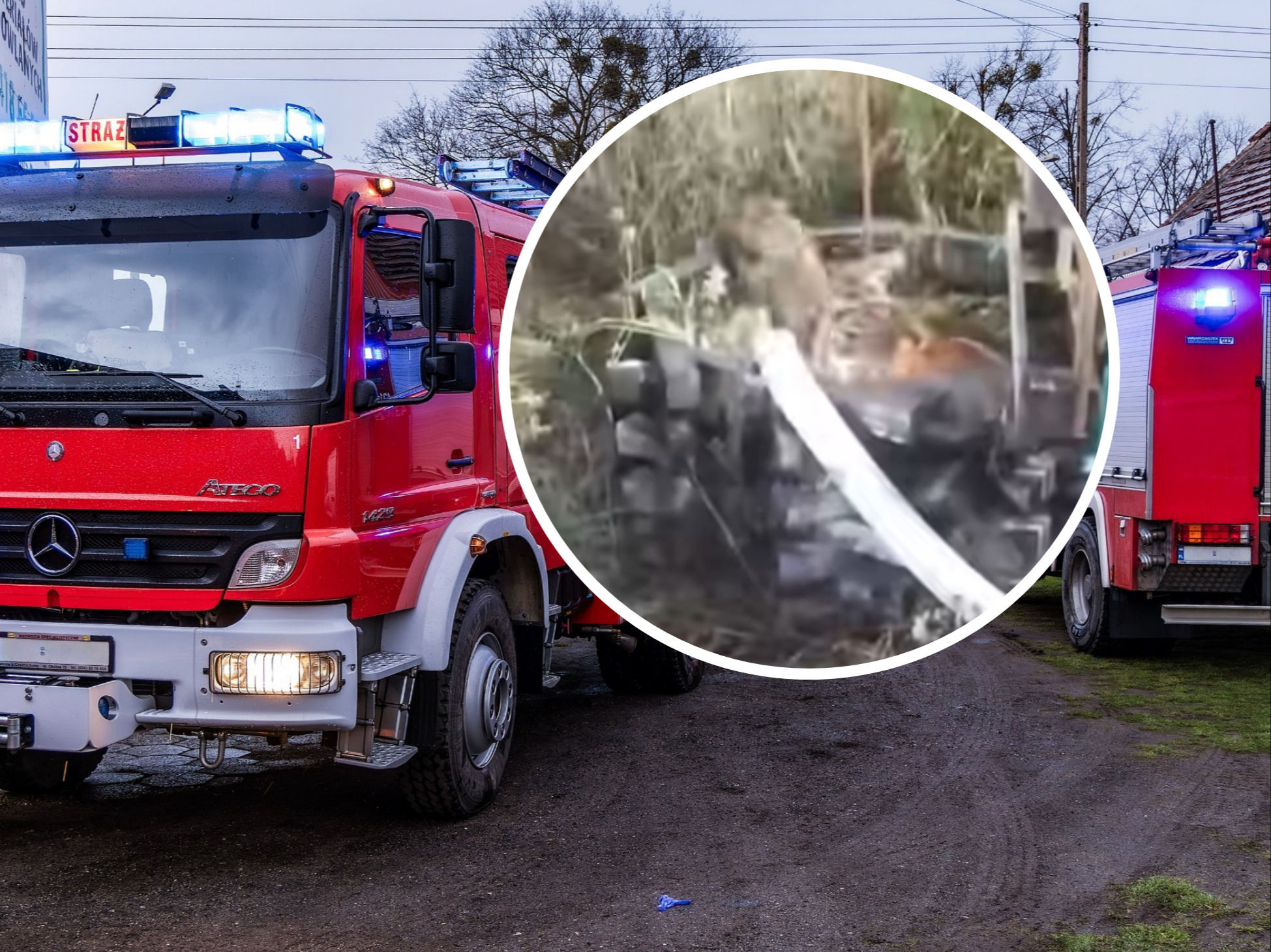 Pies z lisem wpadli do studni. Zwierzęta były zziębnięte i „wtulone w siebie”