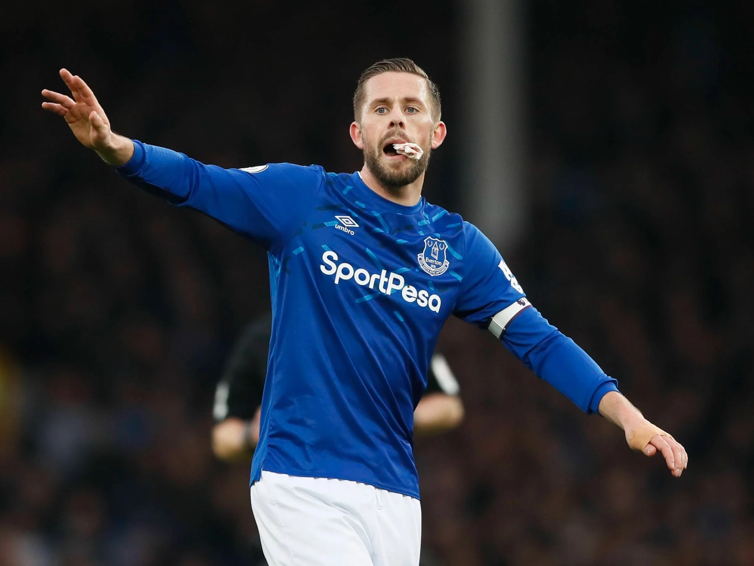 Gylfi Sigurdsson