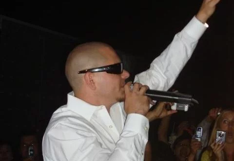 Pitbull rozbawi kibiców Euro w Gdańsku (fot. Wikipedia)