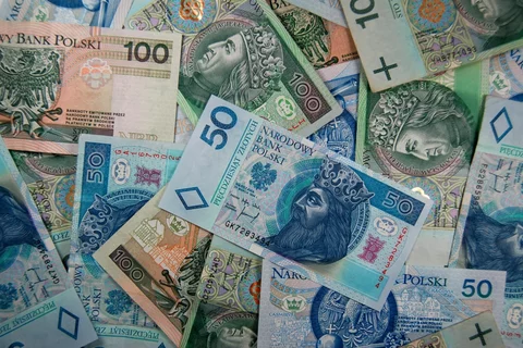 Polski złoty (fot. &#169; Darios/Fotolia.pl)