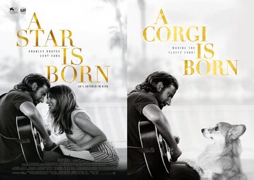Plakat "A Star is Born" i plakat "A Corgi Is Born"