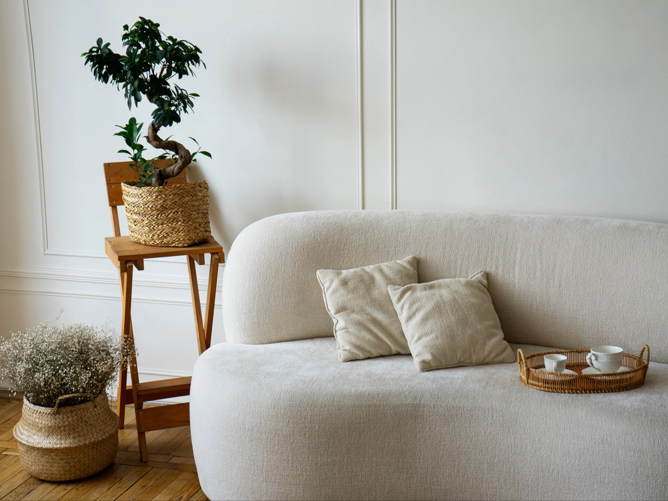 Czysta sofa bez plam? To możliwe!