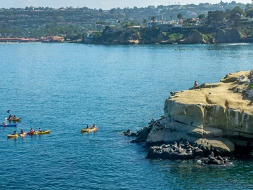 Plaża  La Jolla Cove w San Diego