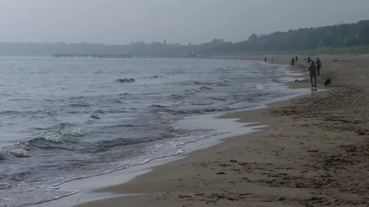 Plaża nad Bałtykiem