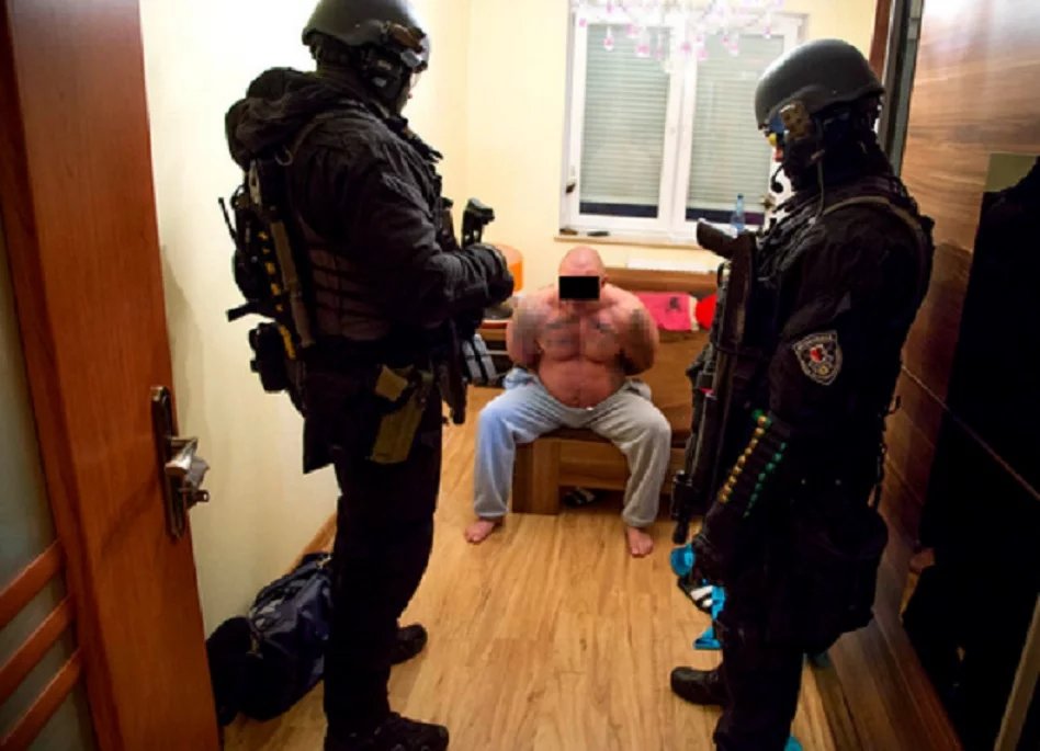 Zatrzymanie w ramach policyjnej akcji