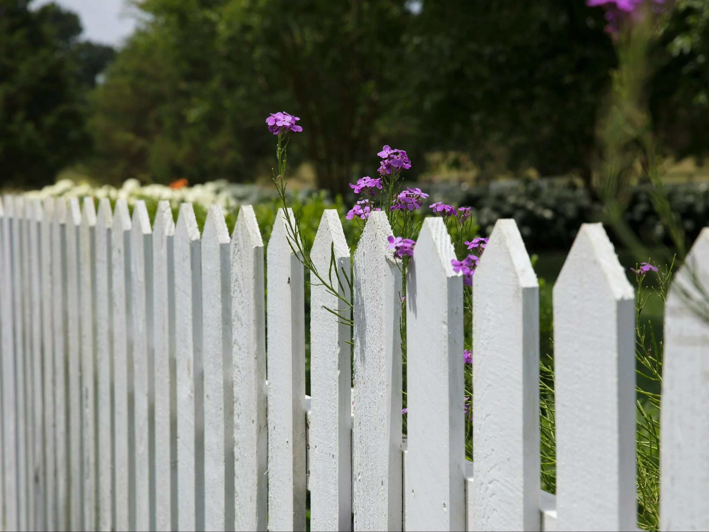 Płot z podatkiem do zapłacenia? Resort finansów potwierdza