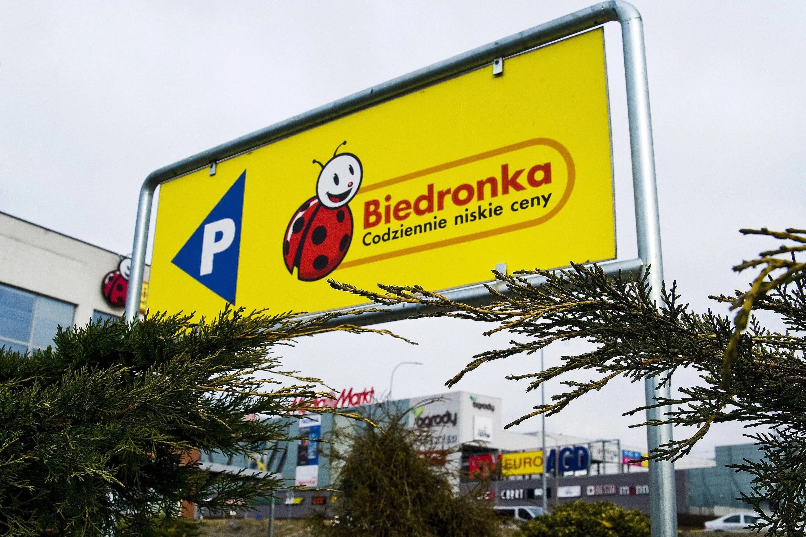 Biedronka