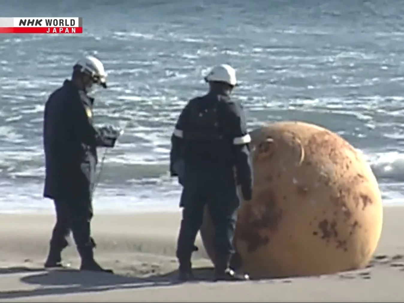 Kula na plaży w Japonii