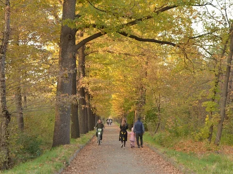 Jesień