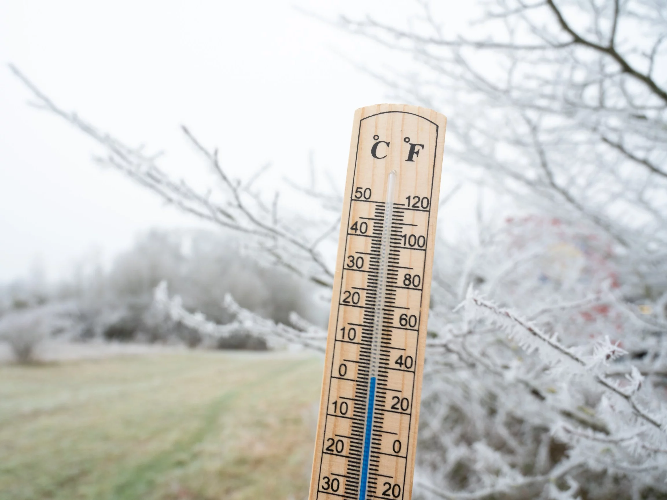 Pierwsze przymrozki w Polsce. Meteorolodzy nie mają dobrych wieści