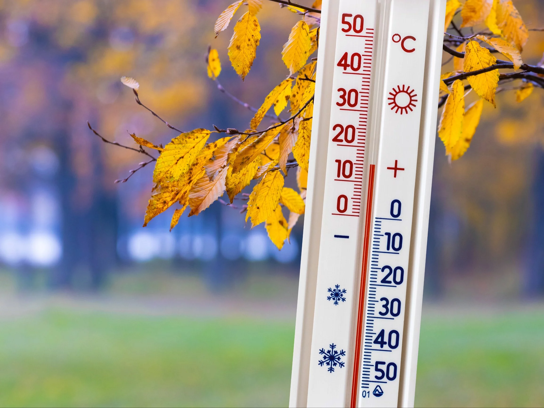„Wystrzał” temperatury, wichury i śnieg. Tak pogoda podzieli Polskę