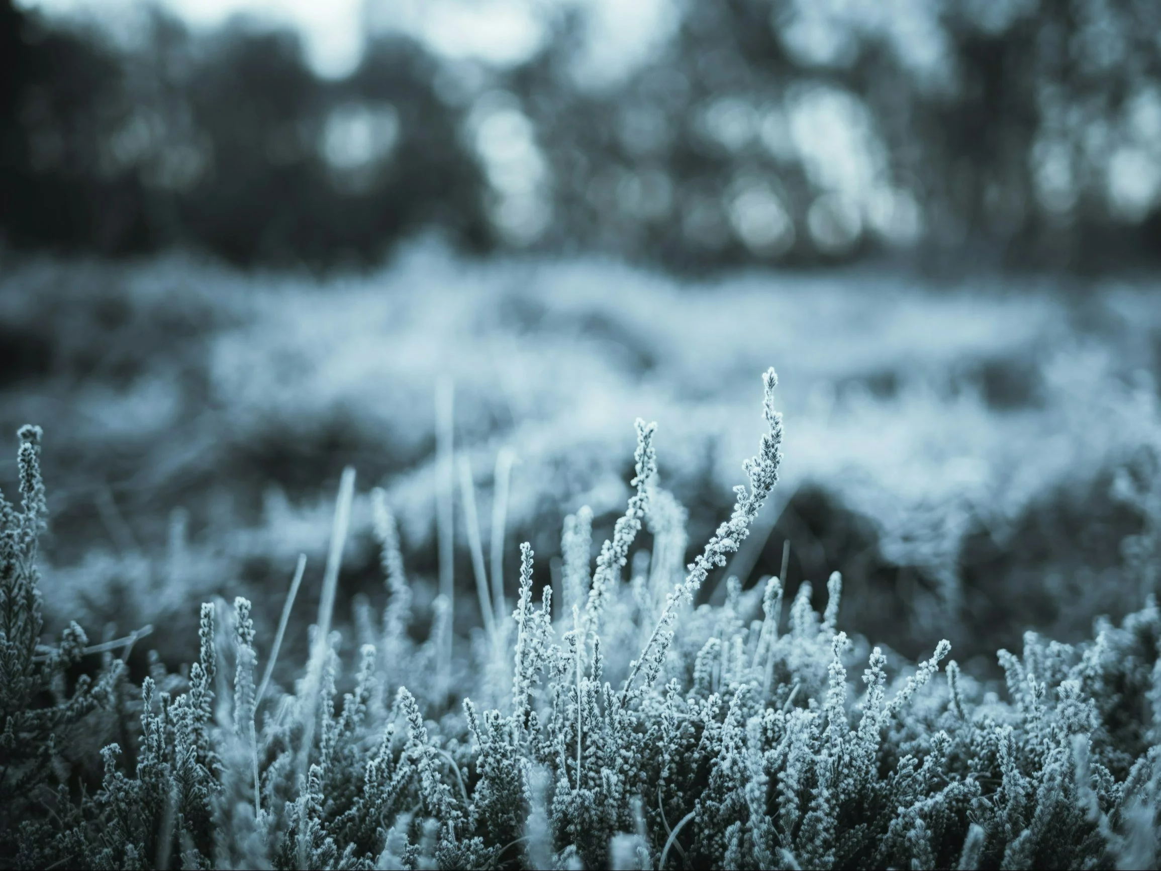 „Wystrzał” gorąca, a potem przymrozki. Pogodowe szaleństwo na koniec września!