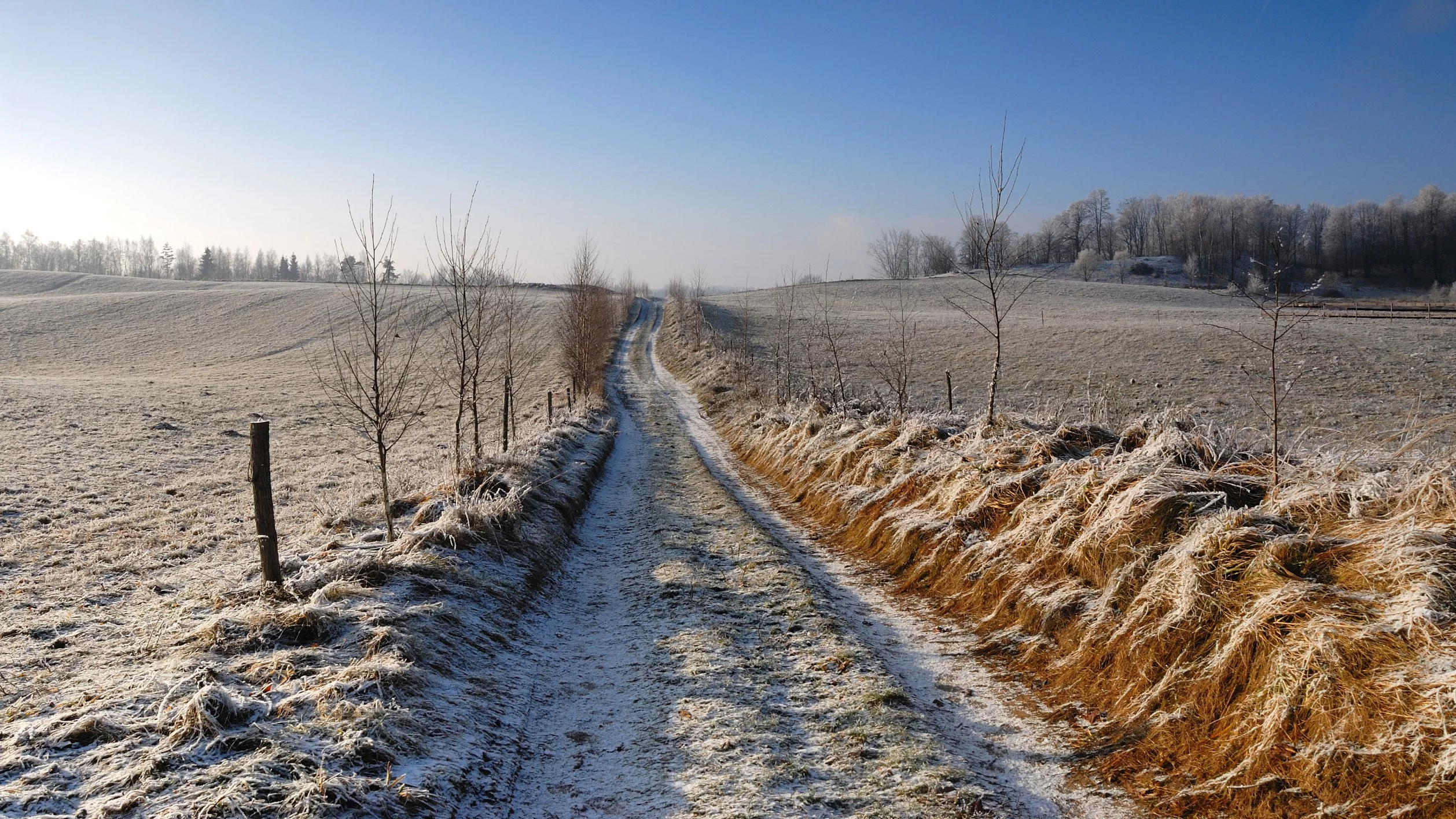 Śnieg na Suwalszczyźnie, zdjęcie ilustracyjne