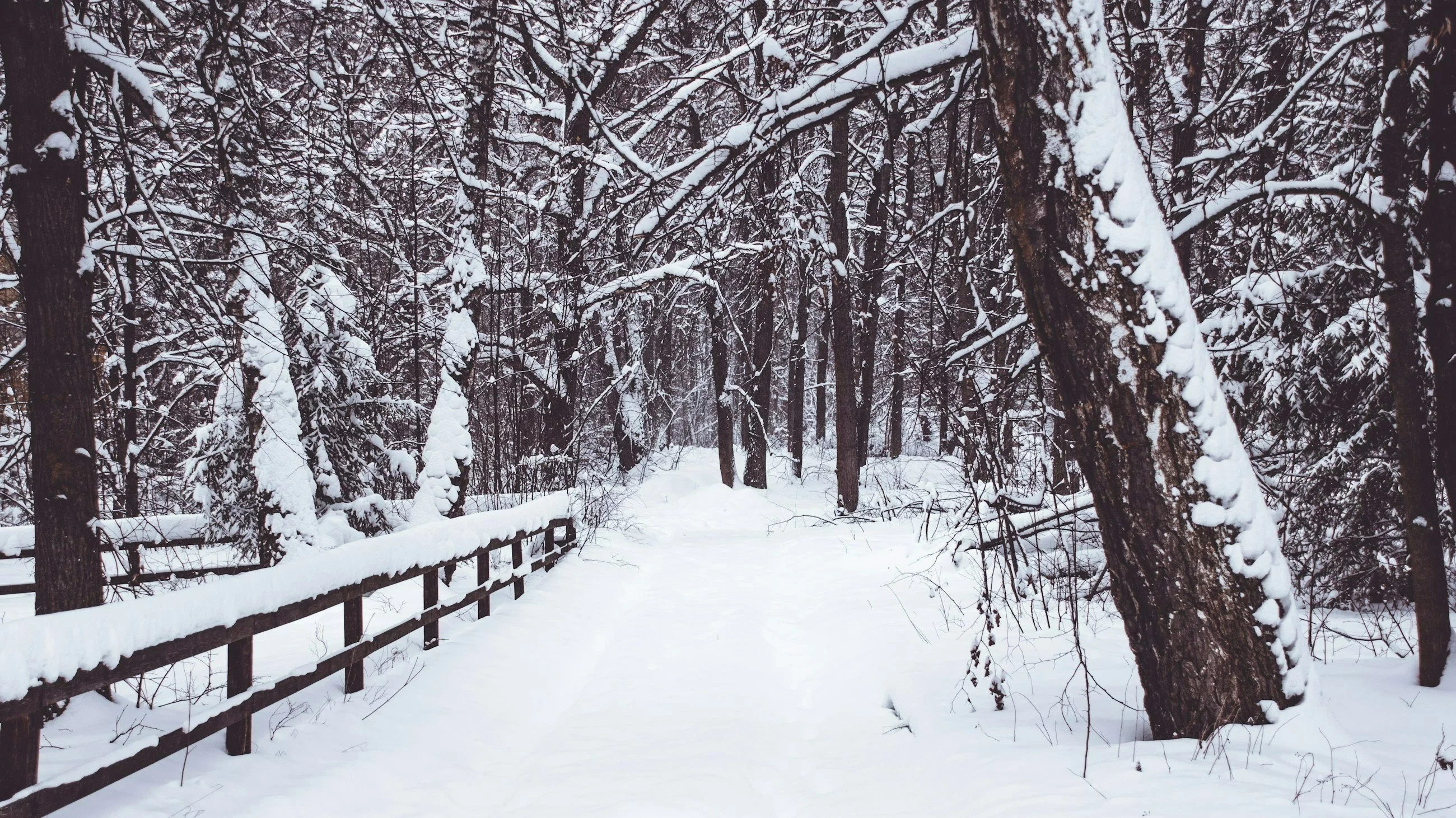 Prognoza na Święta Bożego Narodzenia i Nowy Rok. Meteorolodzy odsłaniają karty