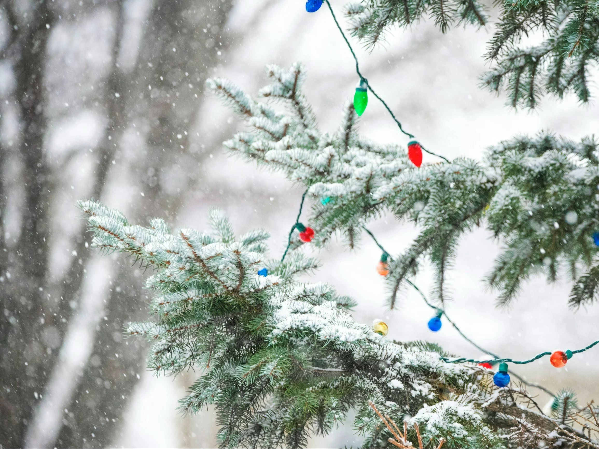 Prognoza na Święta Bożego Narodzenia. „Idziemy w kierunku spływu arktycznych mas powietrza”