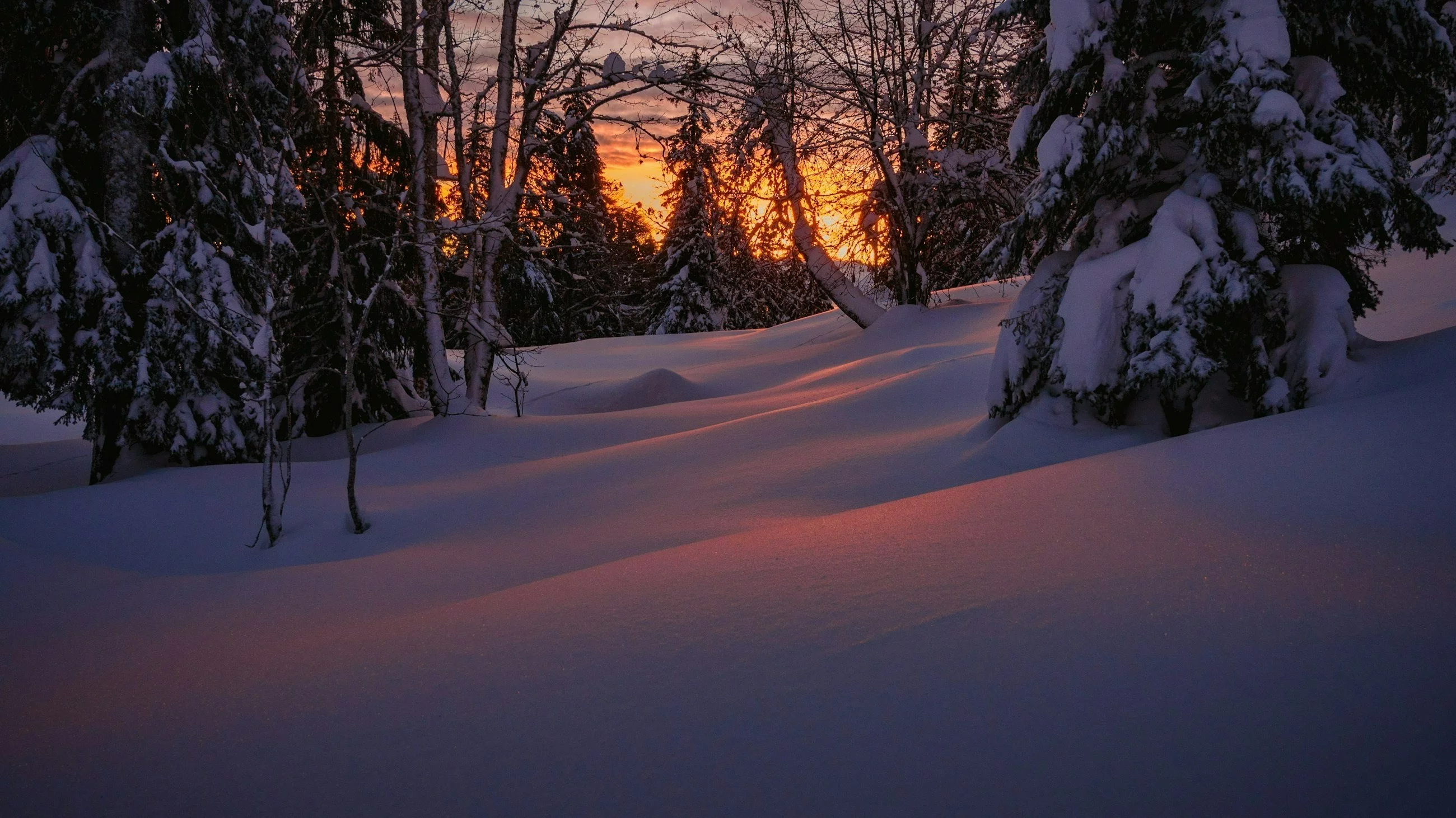 Pogoda na Święta Bożego Narodzenia. Wiemy, kiedy nastąpi zwrot