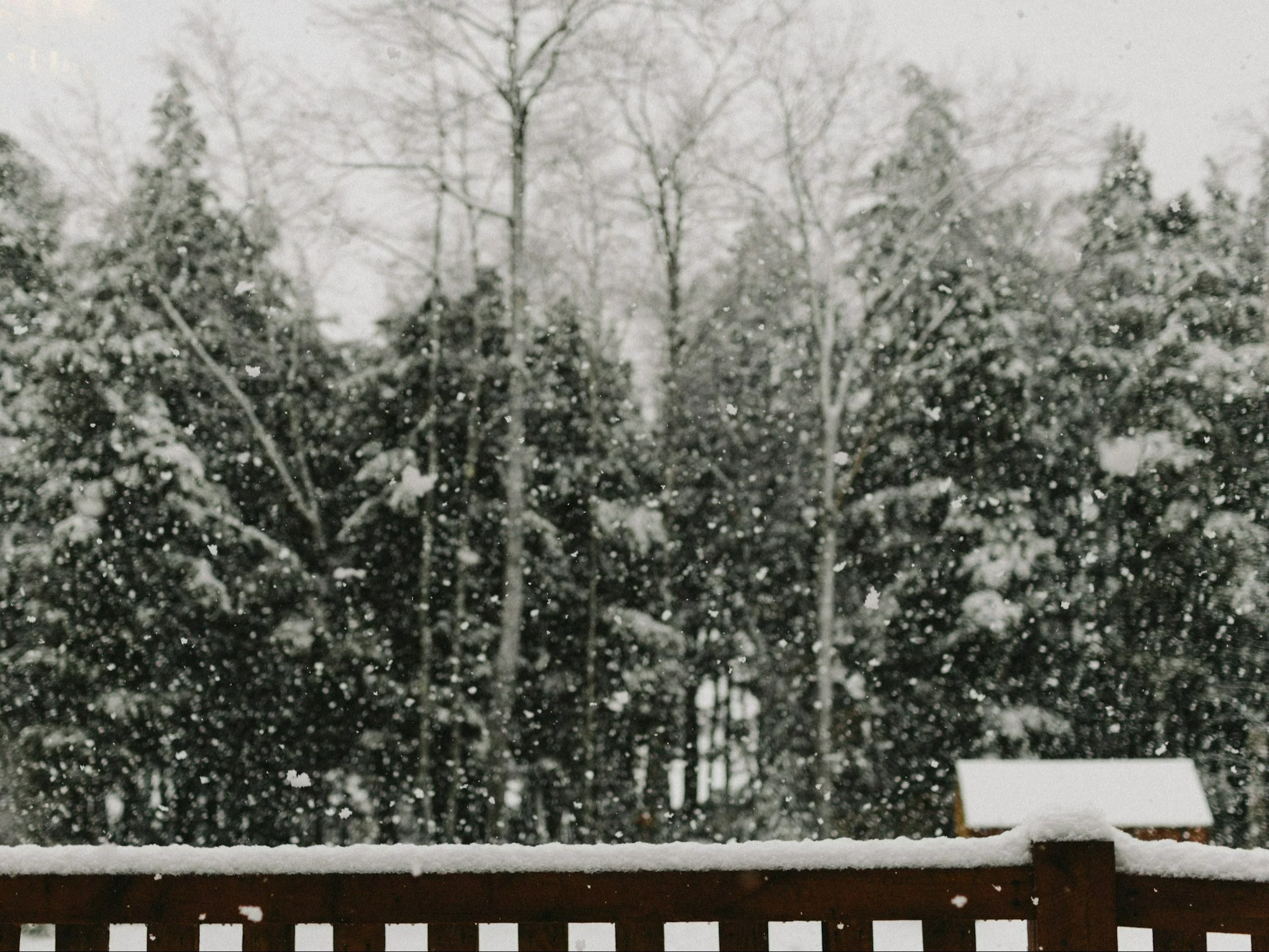 Prognoza na sylwestra i Nowy Rok. Synoptyk o „efekcie jeziora”. „Nie będzie widać świata”