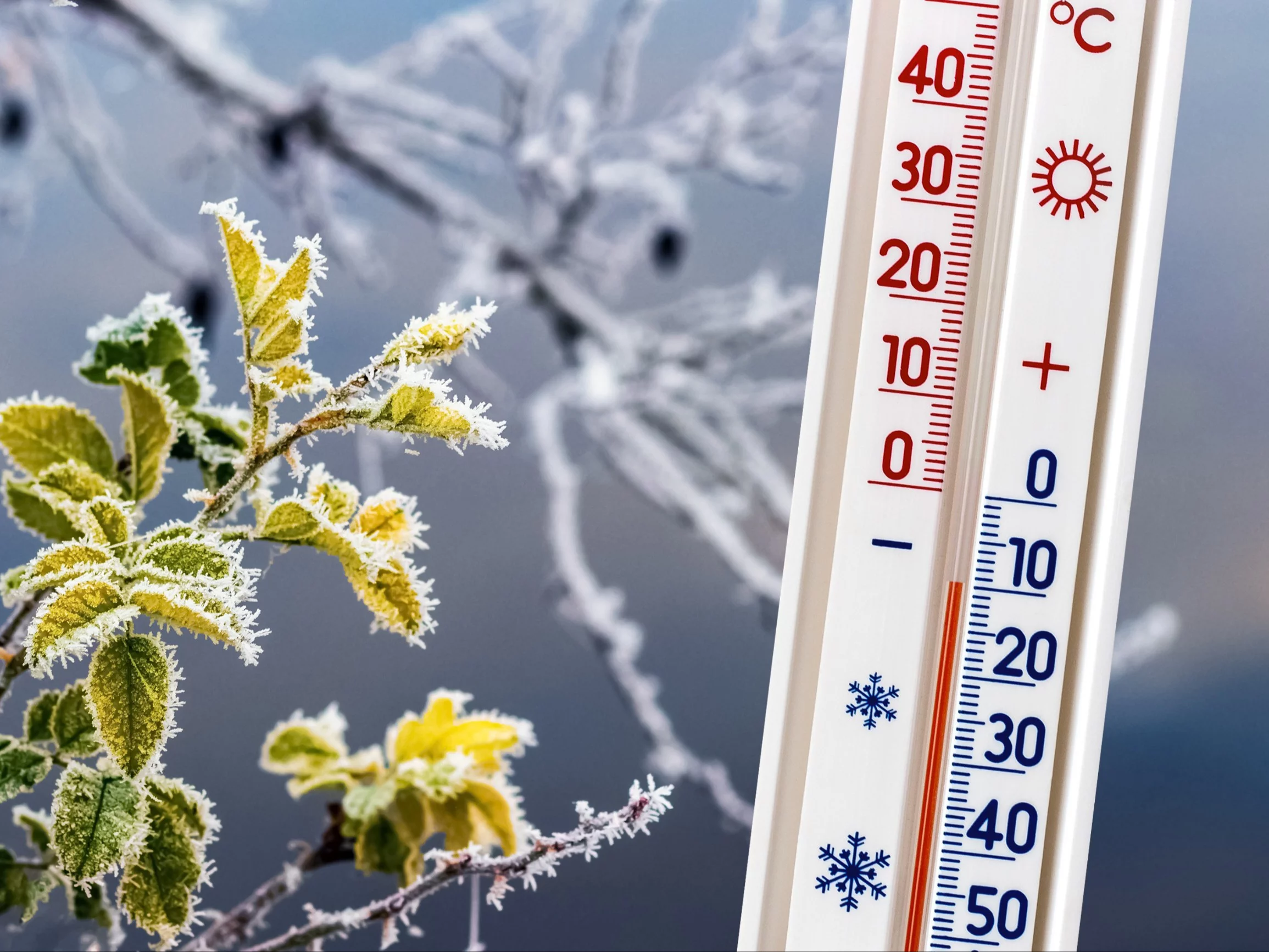 Polskę czeka śnieżna zima. Meteorolodzy już wiedzą
