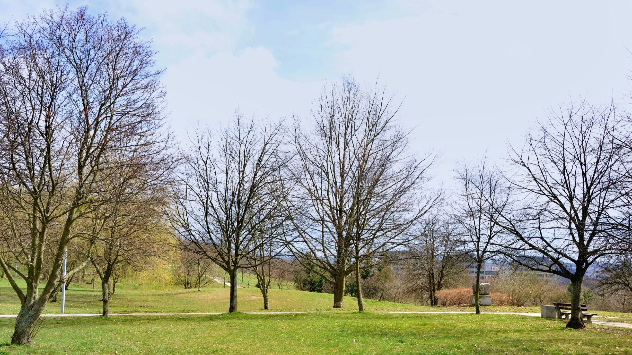Pogoda średnioterminowa na 10 dni. Kiedy do Polski wróci ciepło?