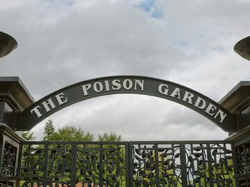Poison Garden w Alnwick