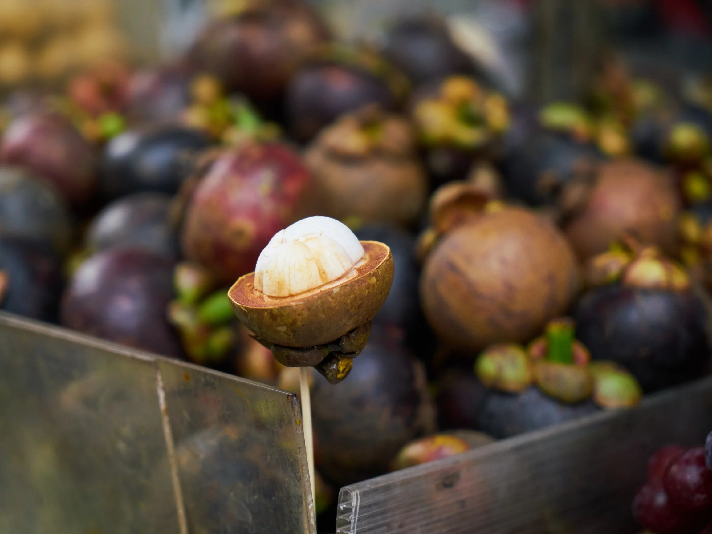 Mangostan