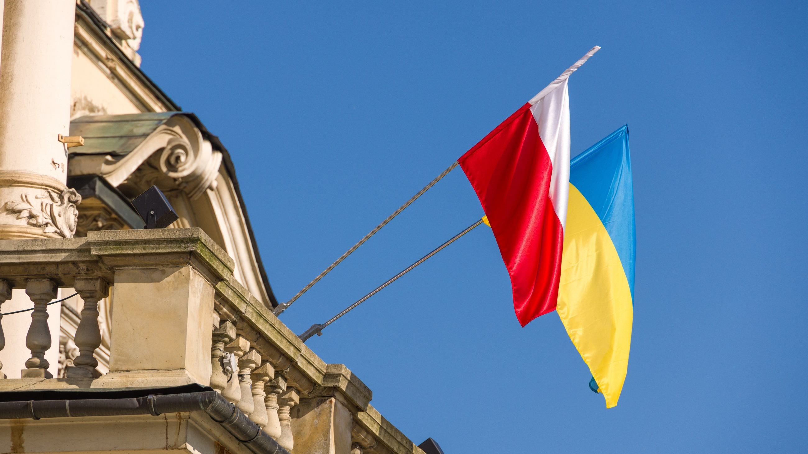 800 plus i bezpłatna opieka zdrowotna dla Ukraińców. Polacy zabrali głos w sondażu