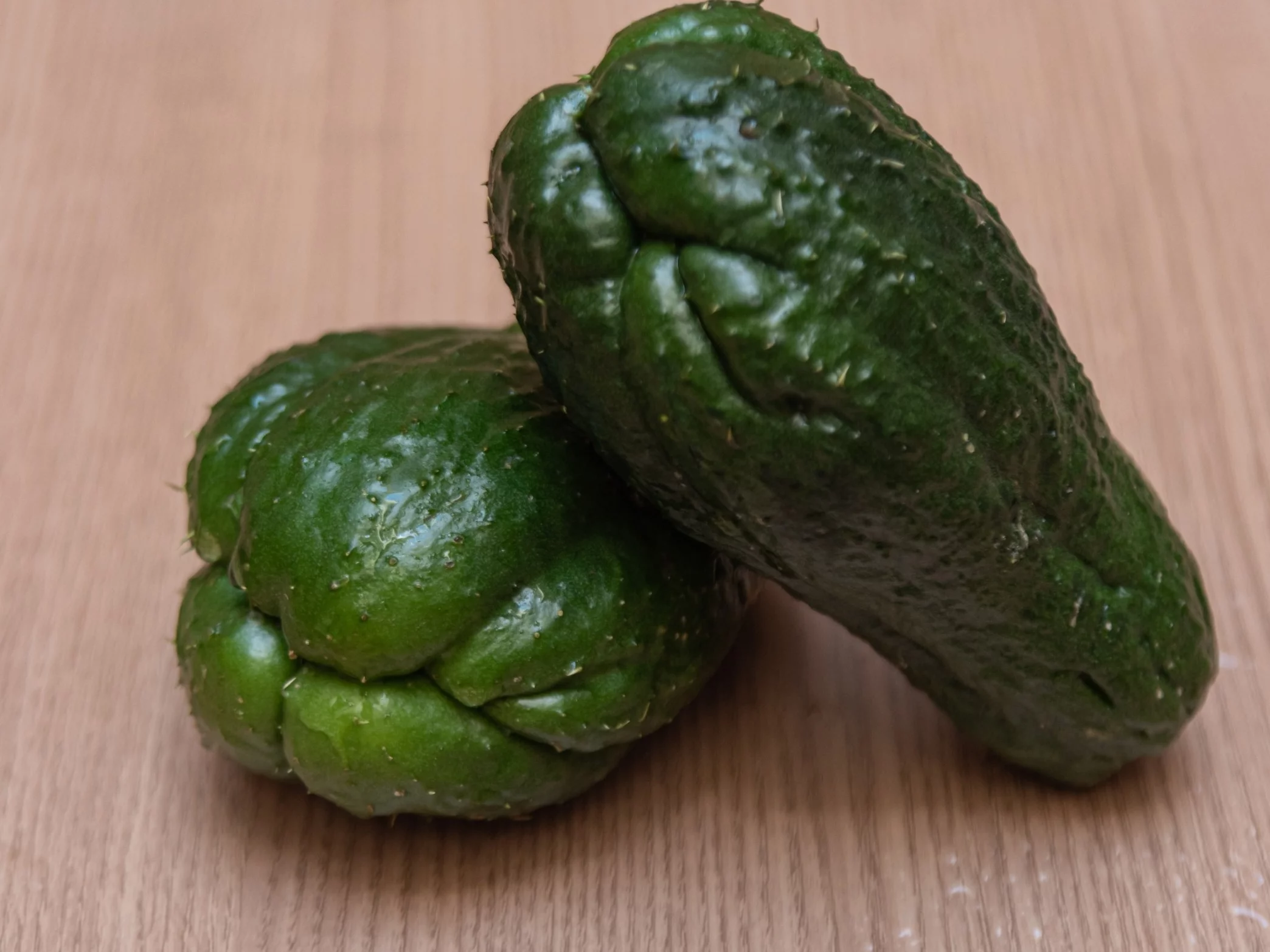 Chayote