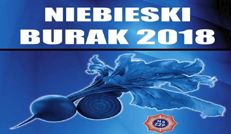 Niebieskie buraki 2018