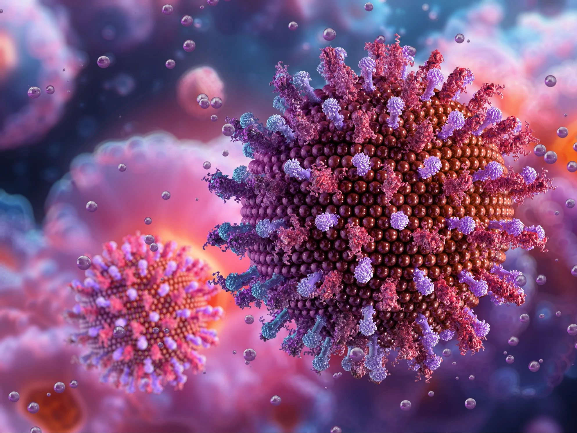 Wirus ssRNA z rodziny Picornaviridae (wywołujący WZW A), zdjęcie ilustracyjne