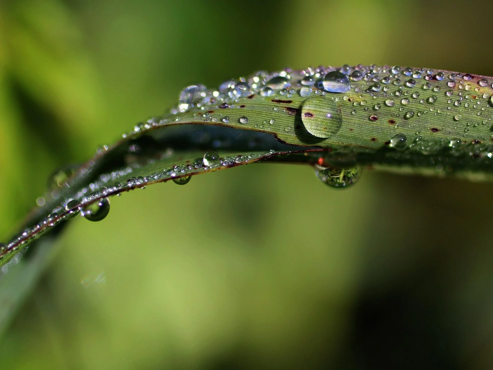 Polska na pogodowej huśtawce. Tak będzie wyglądać maj