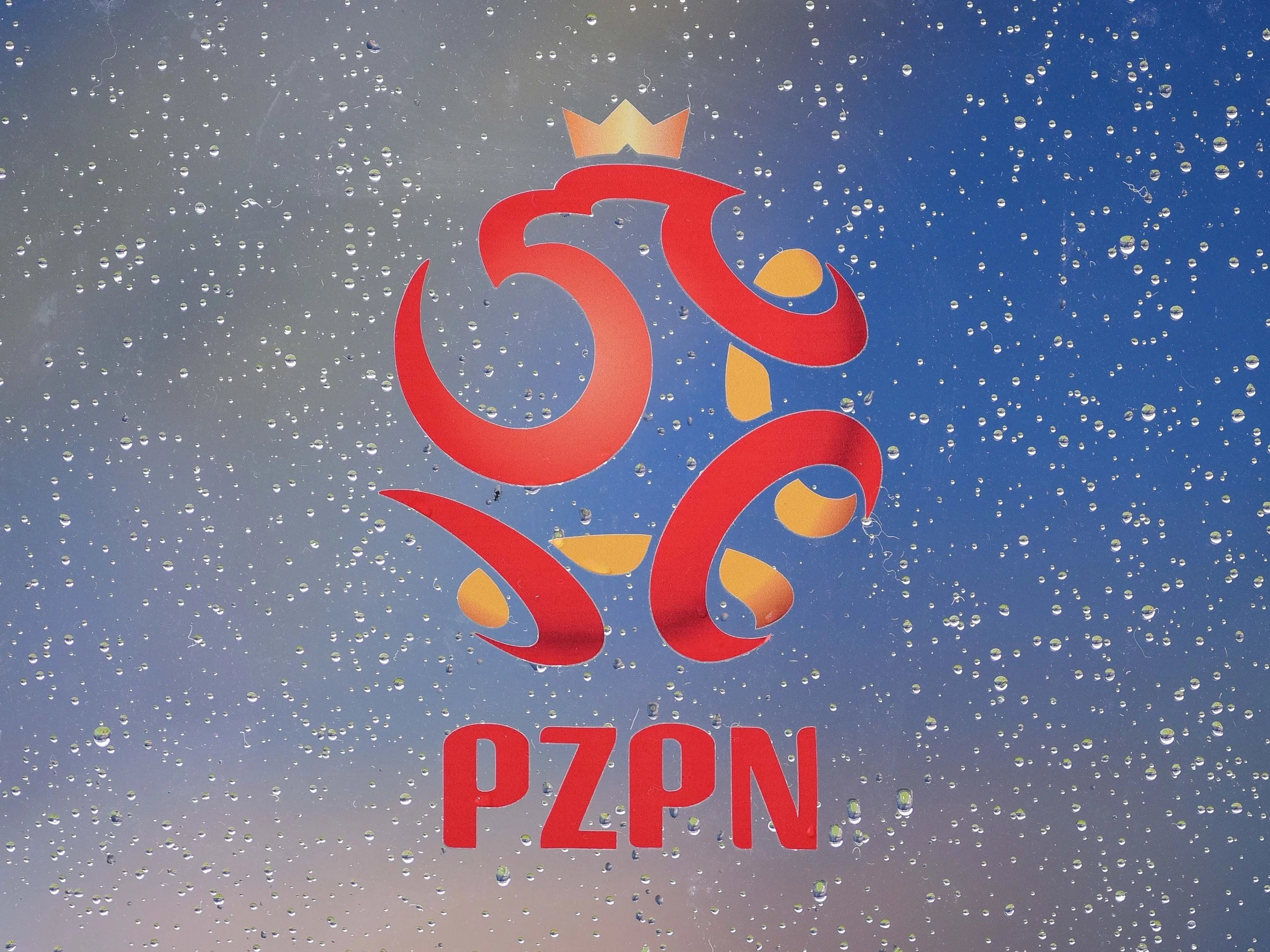 Logo PZPN