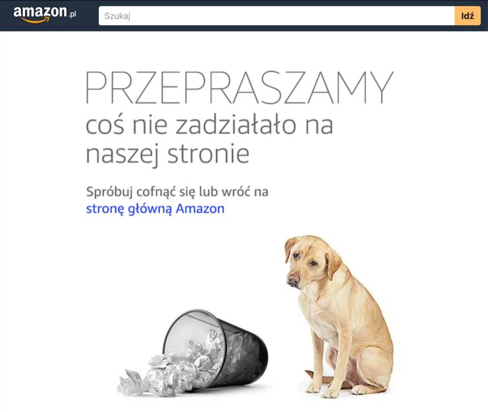 Komunikat o błędzie na stronie Amazon.pl