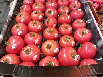 Pomidory w dyskoncie