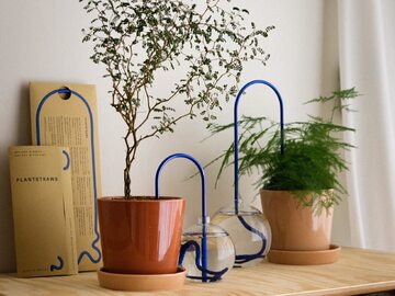 Pomysłowy sposób podlewania roślin doniczkowych