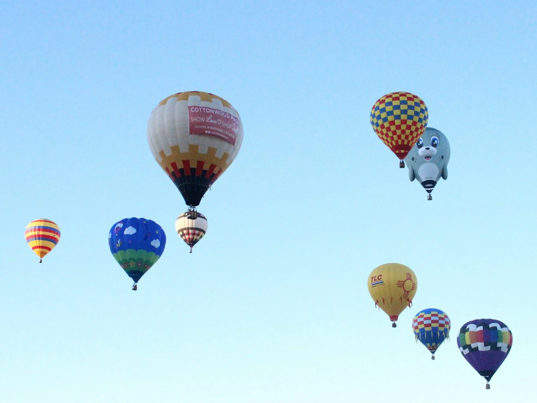 2021 Balloon Fiesta