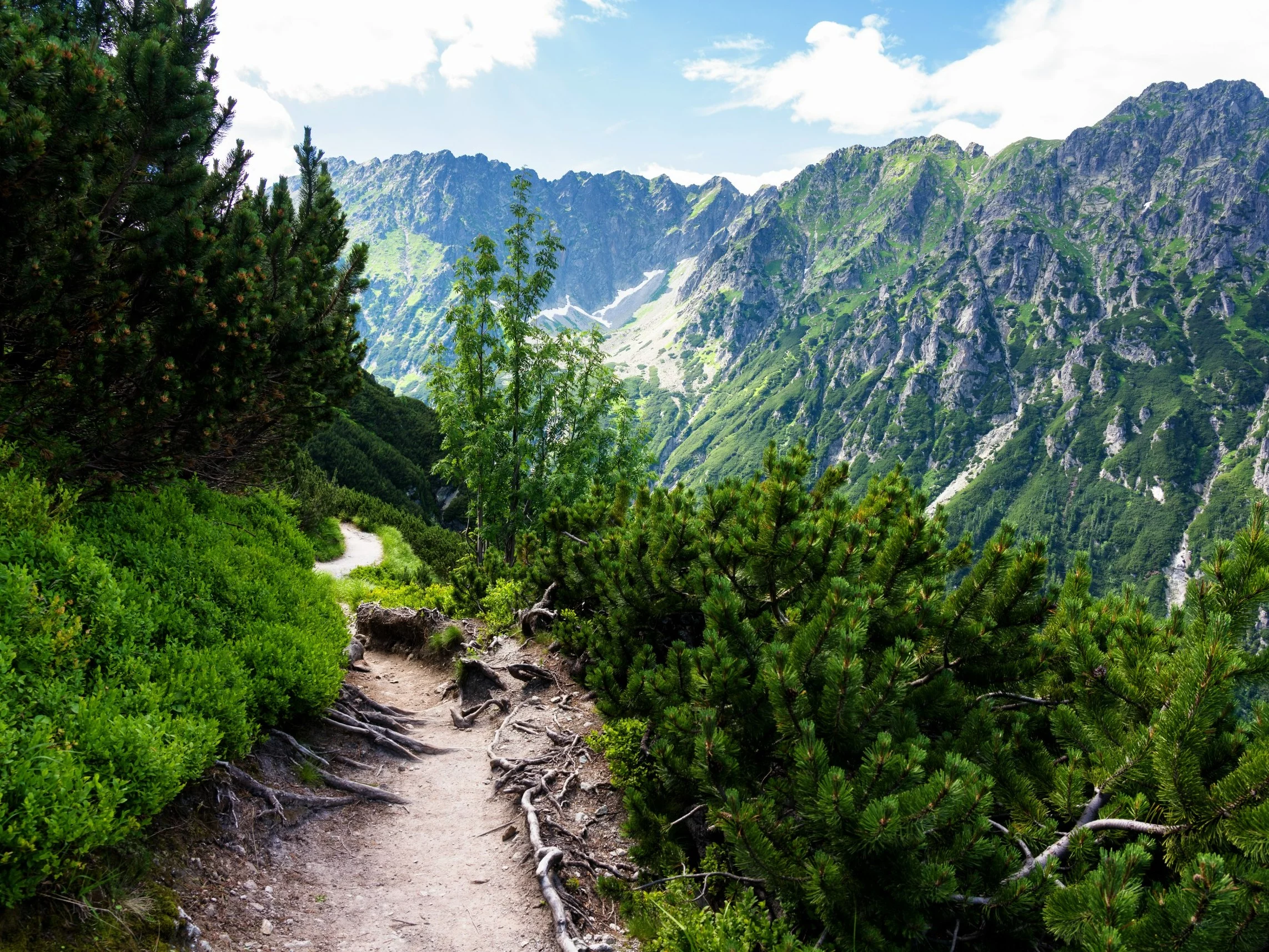 Tatry