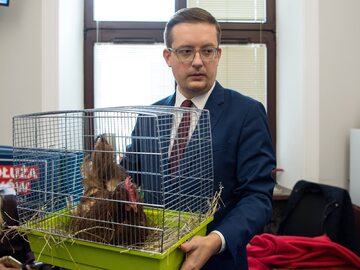Posłowie Konfederacji przynieśli do Sejmu kurę