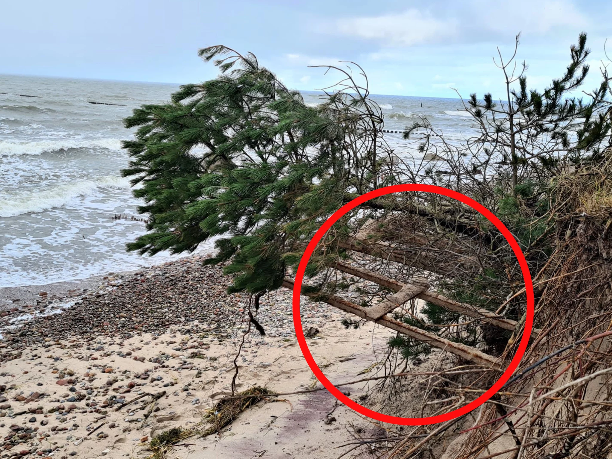 Tory na plaży nad Bałtykiem