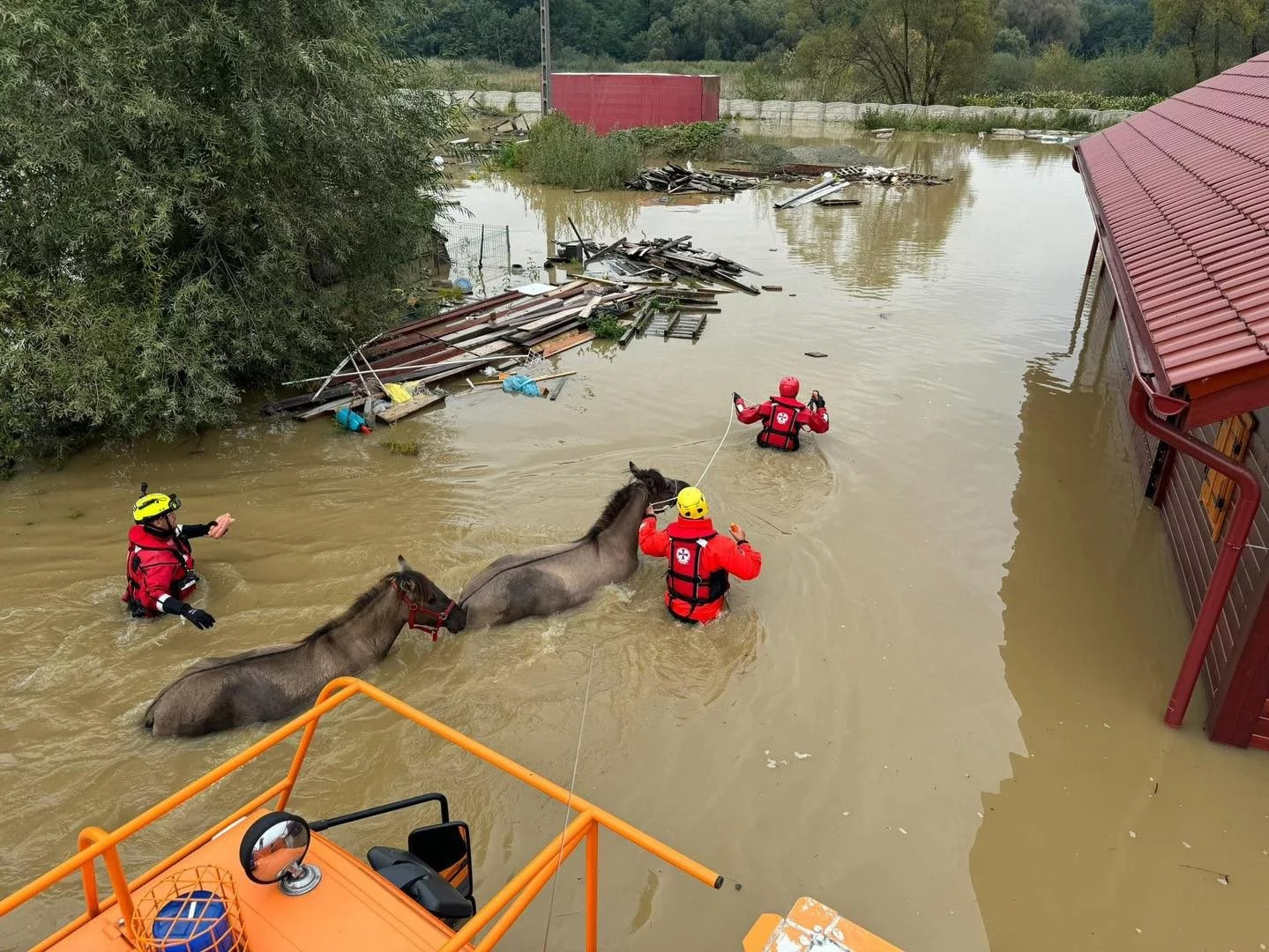 Pomoc zwierzętom na zalanych terenach